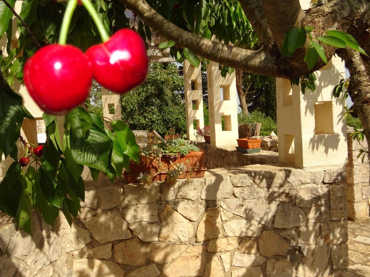 Гостевой дом Trulli Di Zia Tata Локоротондо Экстерьер фото